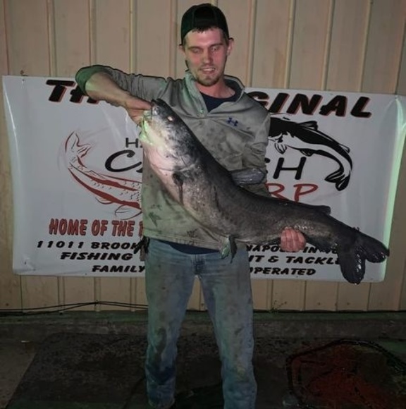 Meet your Posher, Jeff - Picture 1 of 1